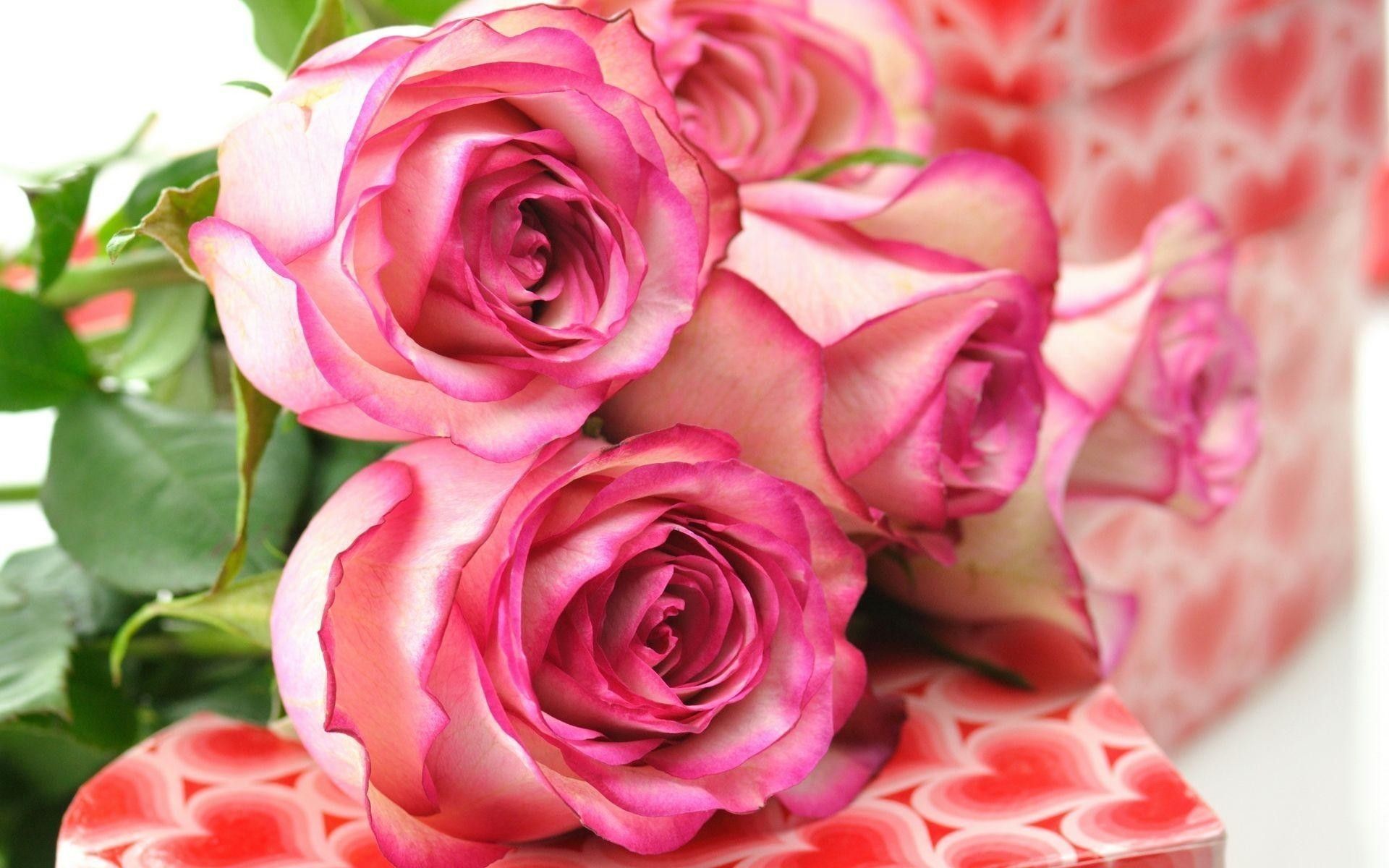 Detail Pretty Roses Images Nomer 15