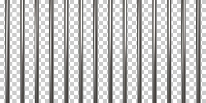 Detail Prison Bars Nomer 32