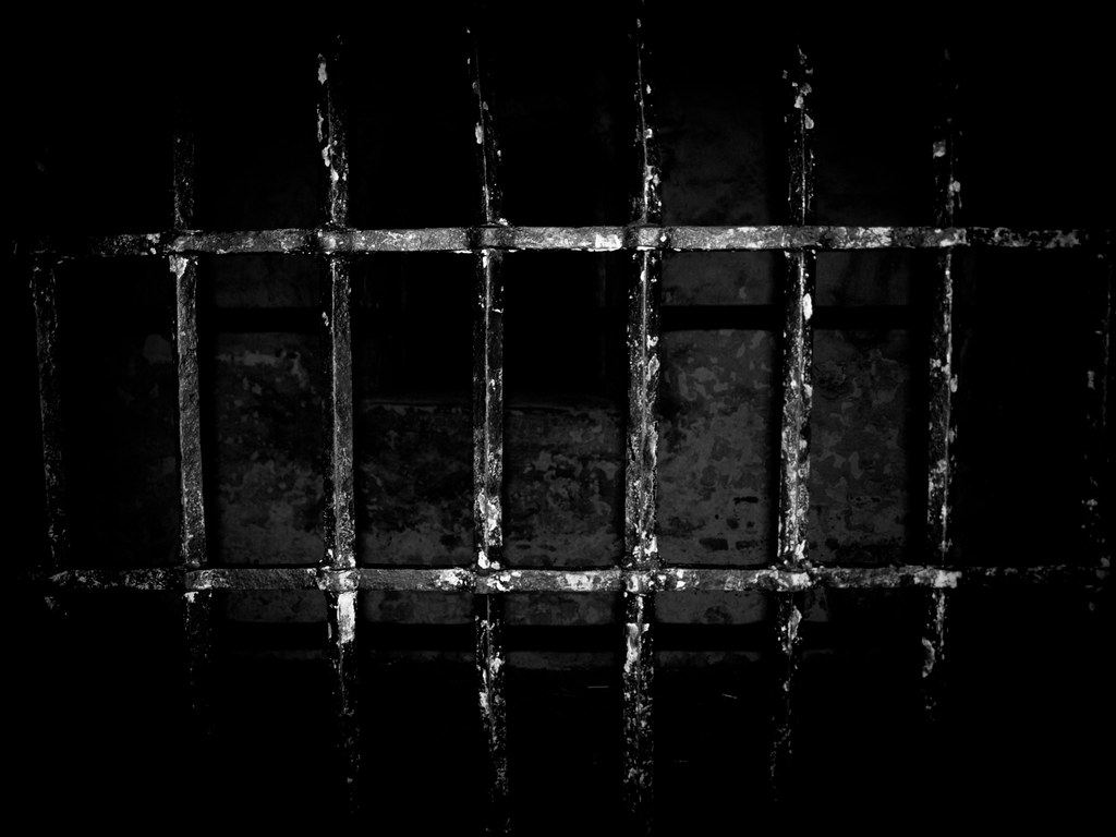 Detail Prison Bars Nomer 44