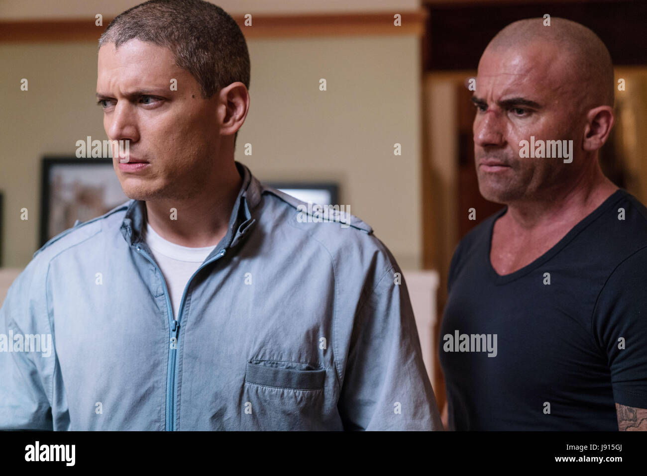 Detail Prison Break Sequel Nomer 16