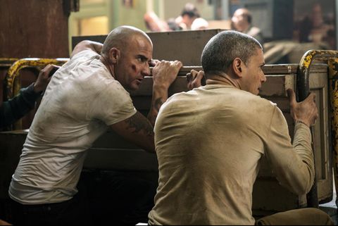 Detail Prison Break Sequel Nomer 19