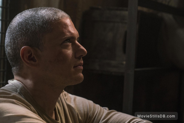 Detail Prison Break Sequel Nomer 35