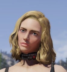 Detail Prisoner Collar Fallout 76 Nomer 2