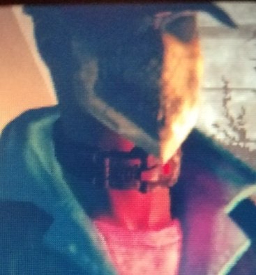 Detail Prisoner Collar Fallout 76 Nomer 15