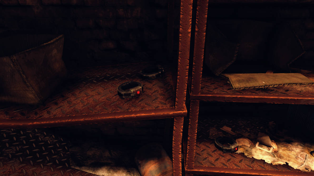 Detail Prisoner Collar Fallout 76 Nomer 19