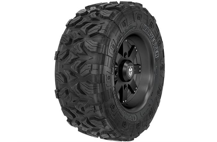 Detail Pro Armor Anarchy Tire Nomer 18