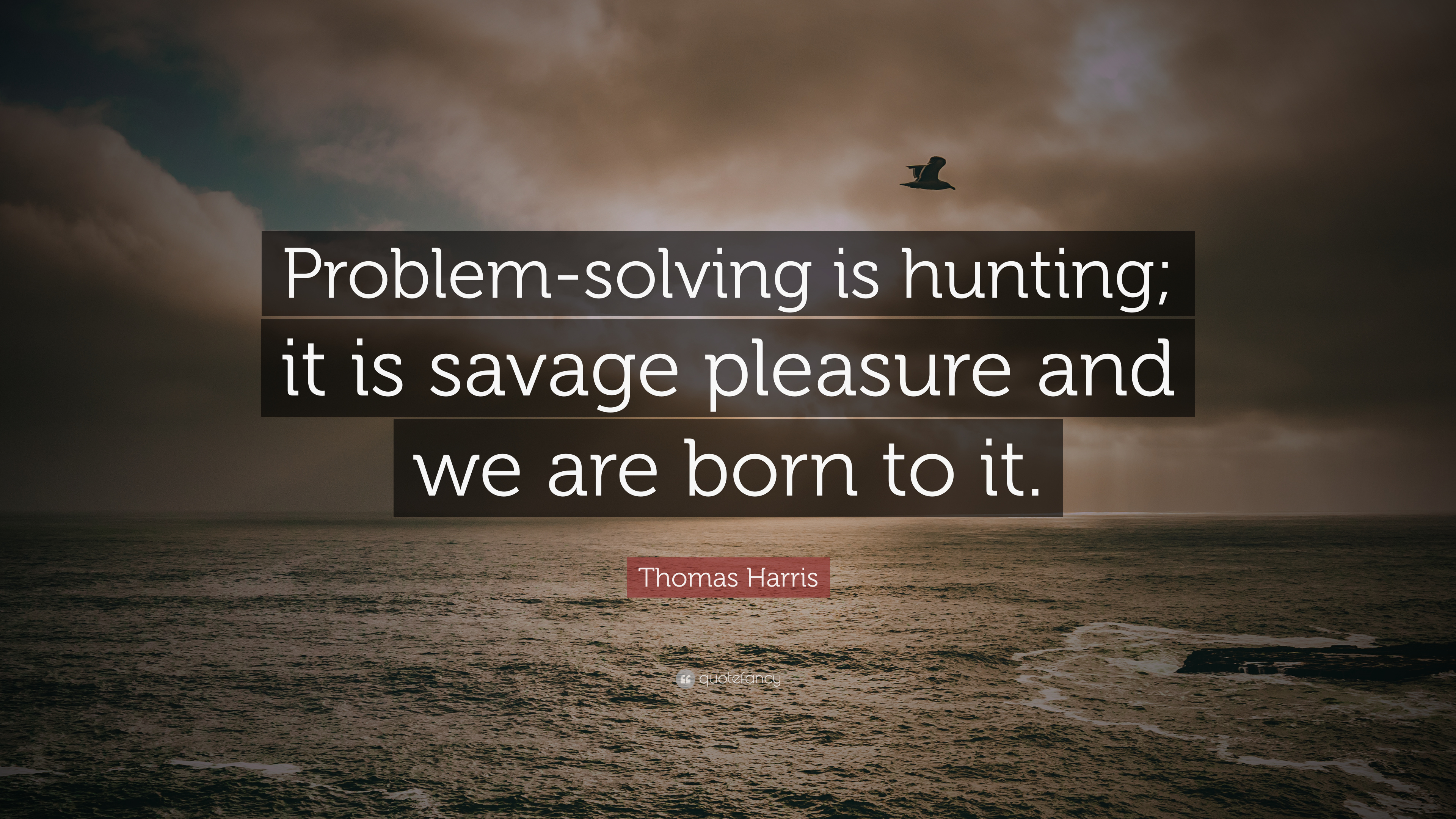 Detail Problem Solving Quotes Nomer 19