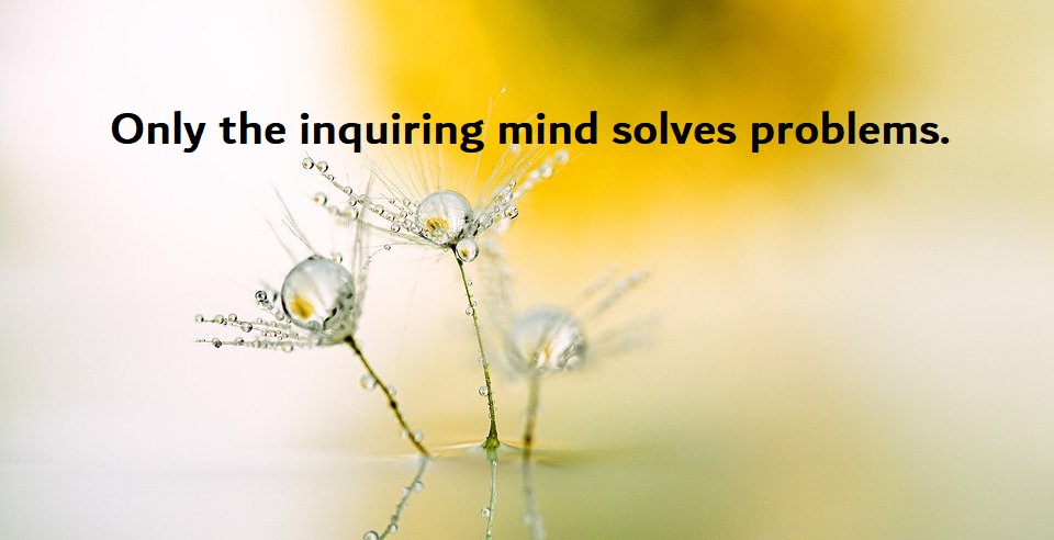 Detail Problem Solving Quotes Nomer 50