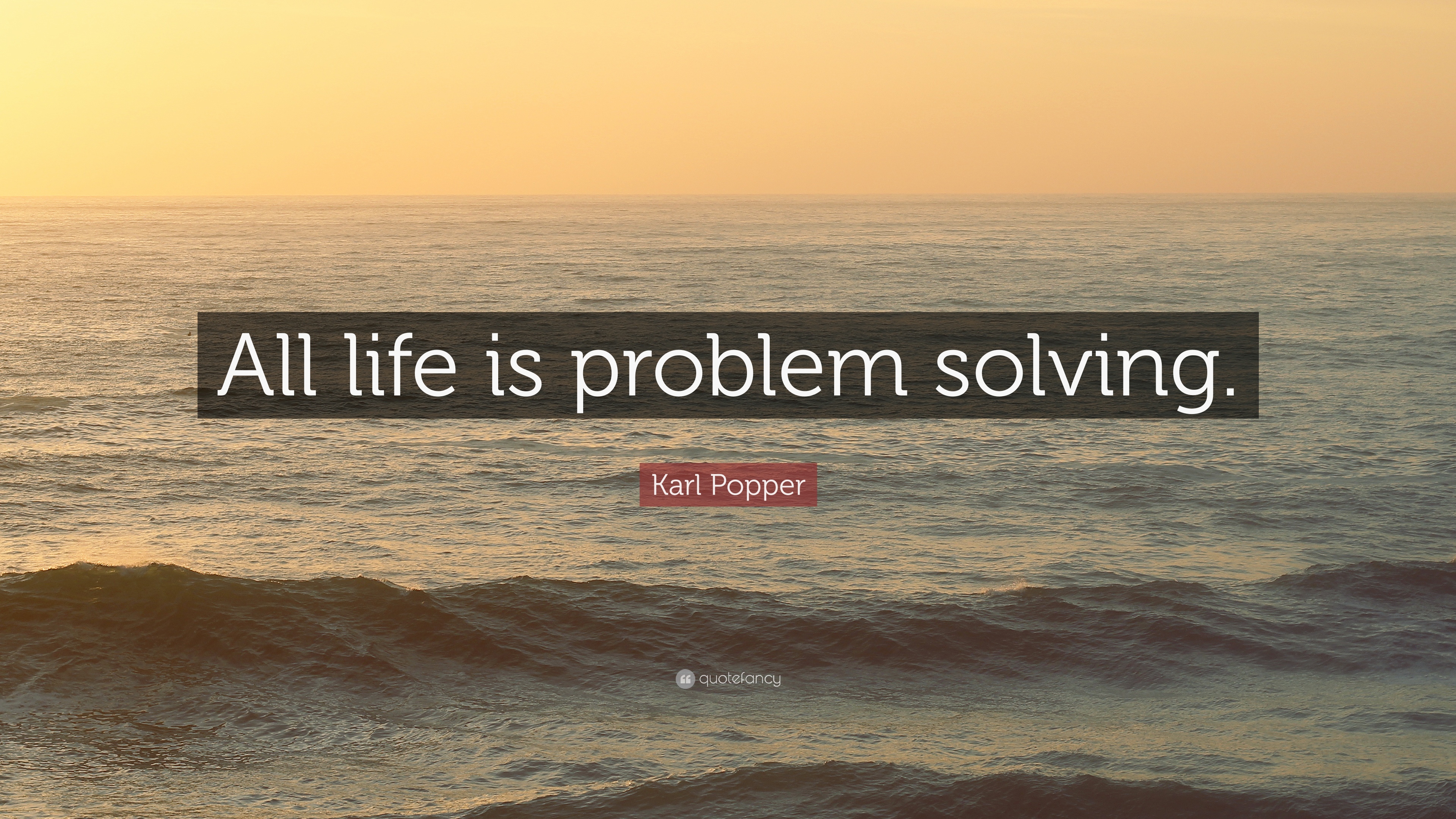 Detail Problem Solving Quotes Nomer 7