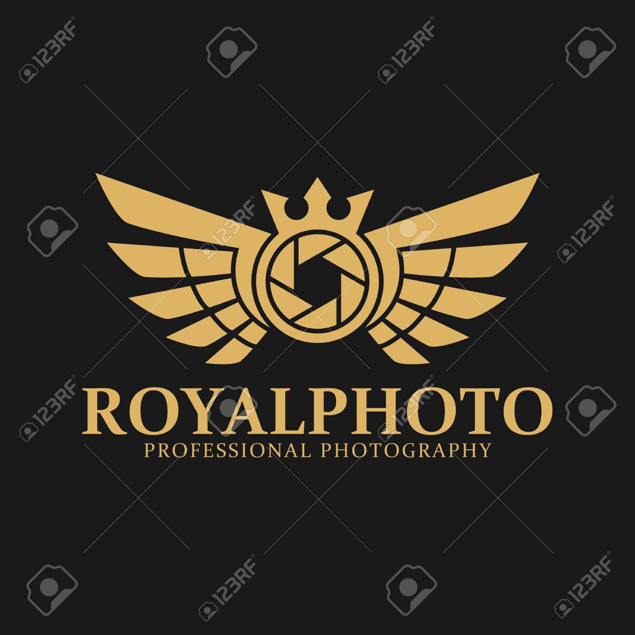 Detail Professional Photography Logo Nomer 22
