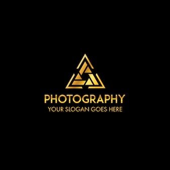 Detail Professional Photography Logo Nomer 23