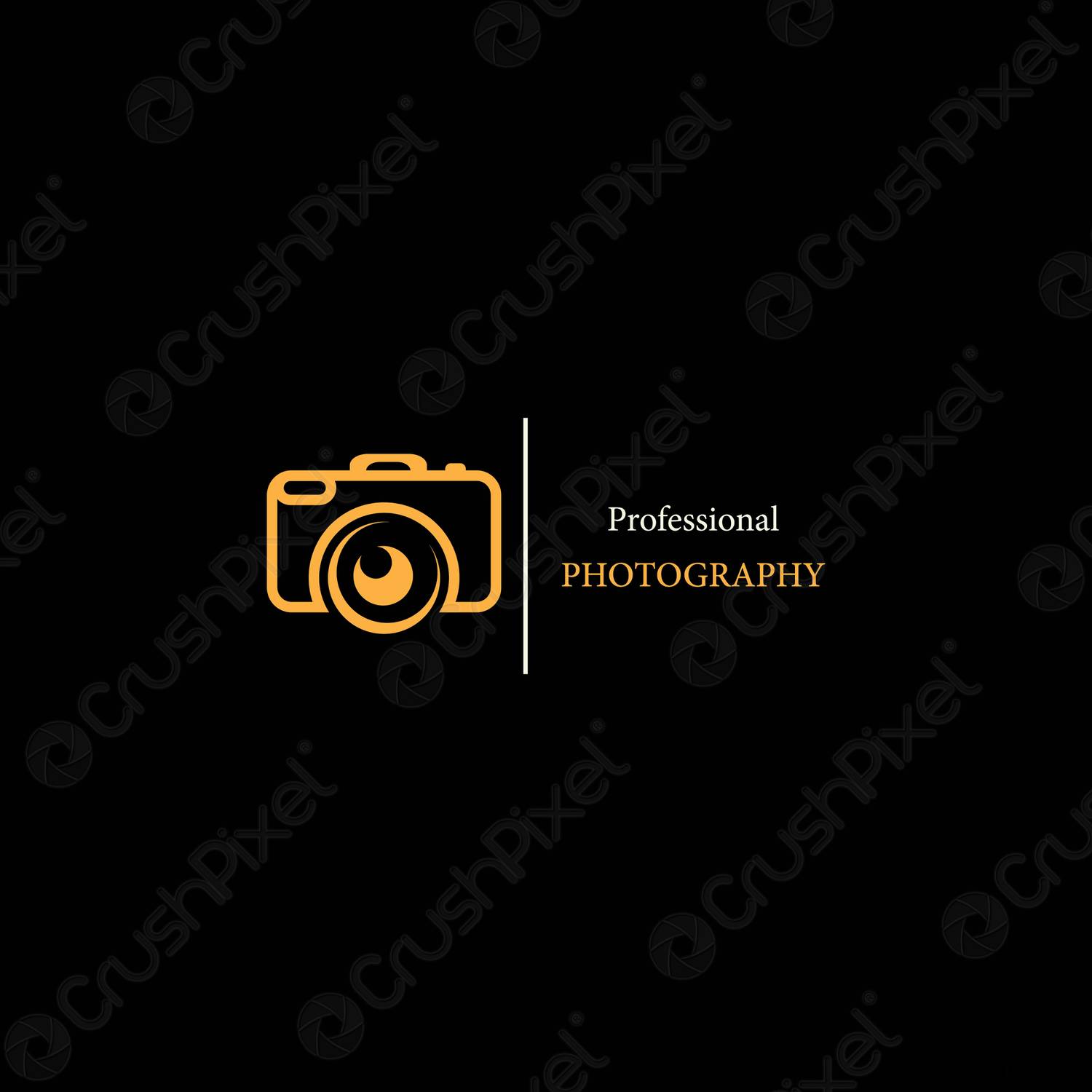 Detail Professional Photography Logo Nomer 30