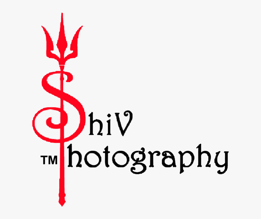 Detail Professional Photography Logo Nomer 55
