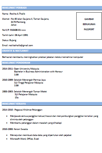 Detail Professional Summary Contoh Nomer 4
