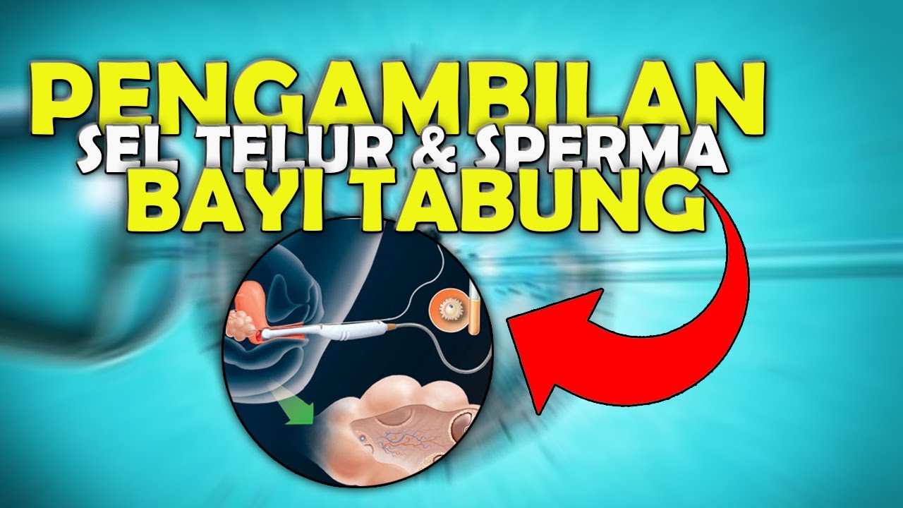 Detail Proses Pengambilan Gambar Nomer 29