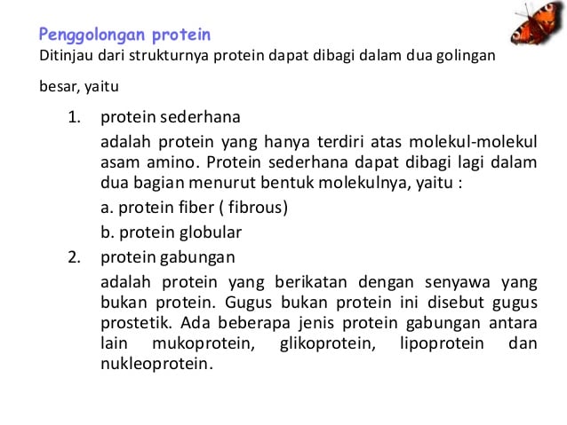 Detail Protein Sederhana Erta Gambar Nomer 6