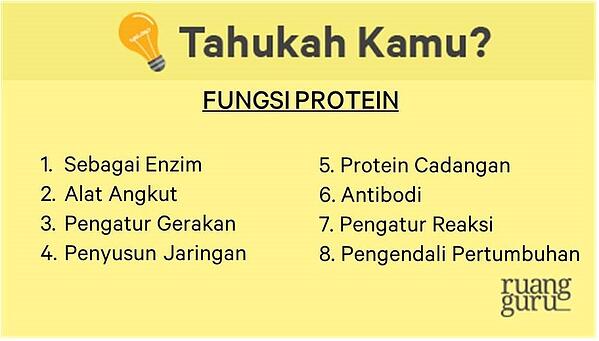 Detail Protein Sederhana Serta Gambar Nomer 23