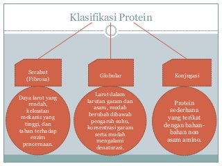 Detail Protein Sederhana Serta Gambar Nomer 28