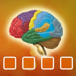 Detail Psikologi Gambar Brain Games Nomer 3