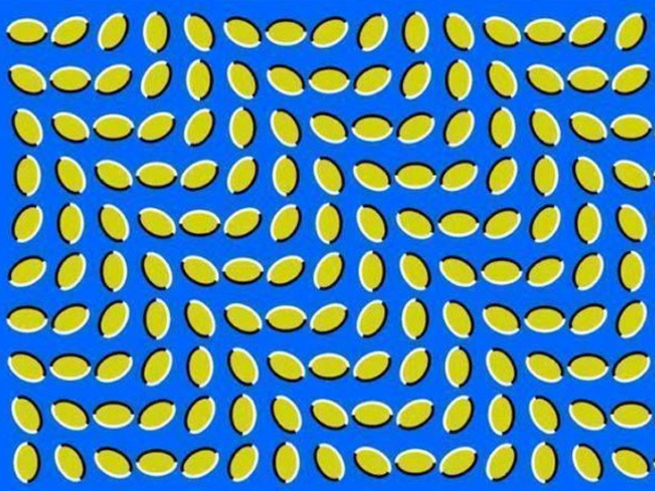 Detail Psikologi Gambar Brain Games Illusions Nomer 9