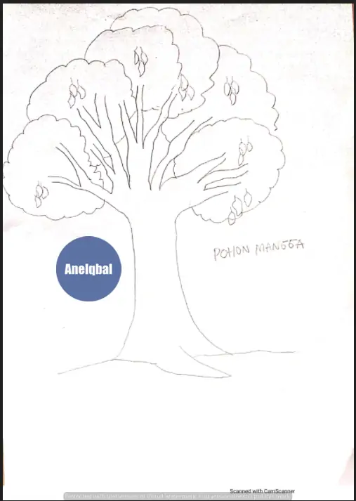 Detail Psikologi Gambar Pohon Nomer 18