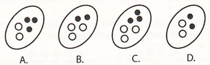 Detail Psikotest Deret Gambar Nomer 25