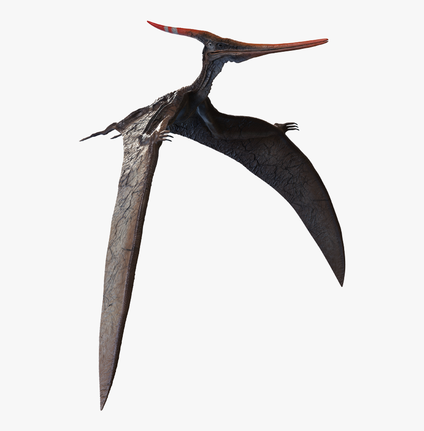 Detail Pterosaur Png Nomer 10