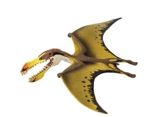 Detail Pterosaur Png Nomer 40