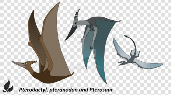 Detail Pterosaur Png Nomer 41