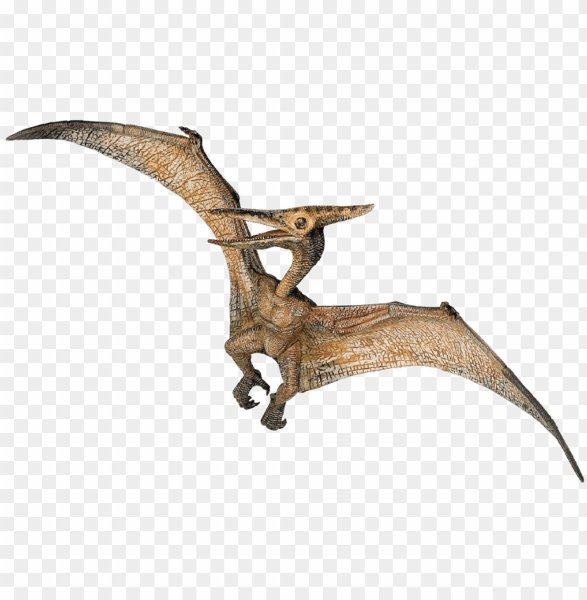 Detail Pterosaur Png Nomer 6