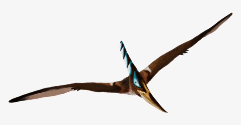 Detail Pterosaur Png Nomer 8