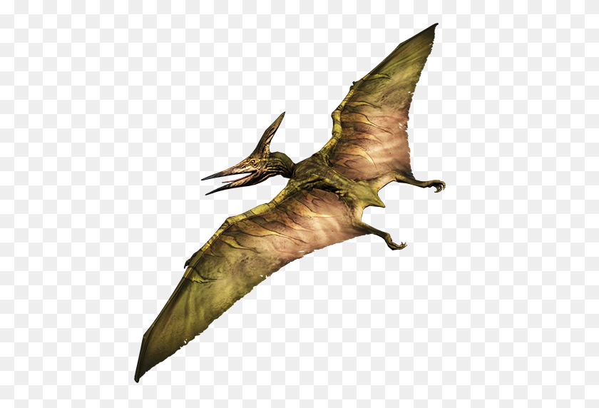 Detail Pterosaur Png Nomer 9