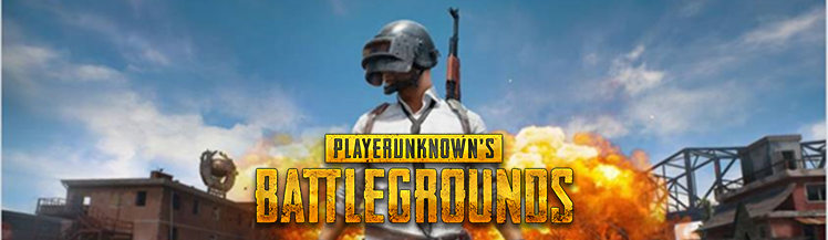 Detail Pubg Banner Nomer 23