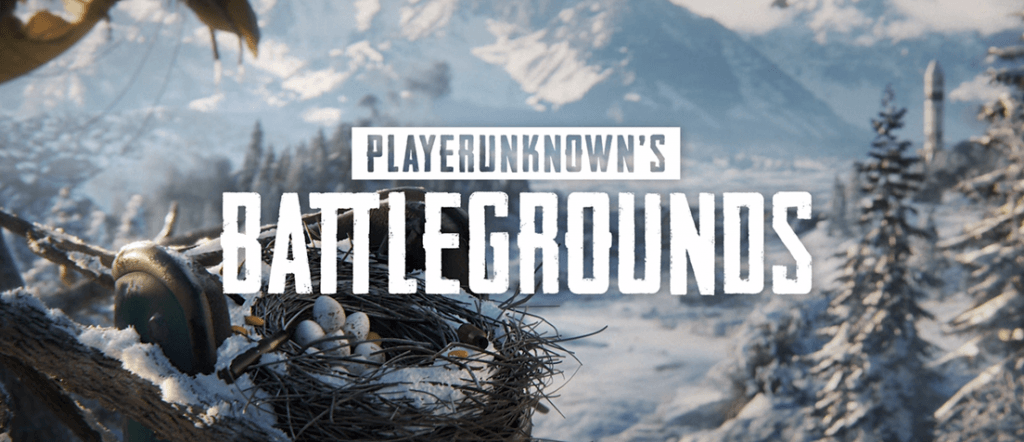 Detail Pubg Won T Launch Nomer 10