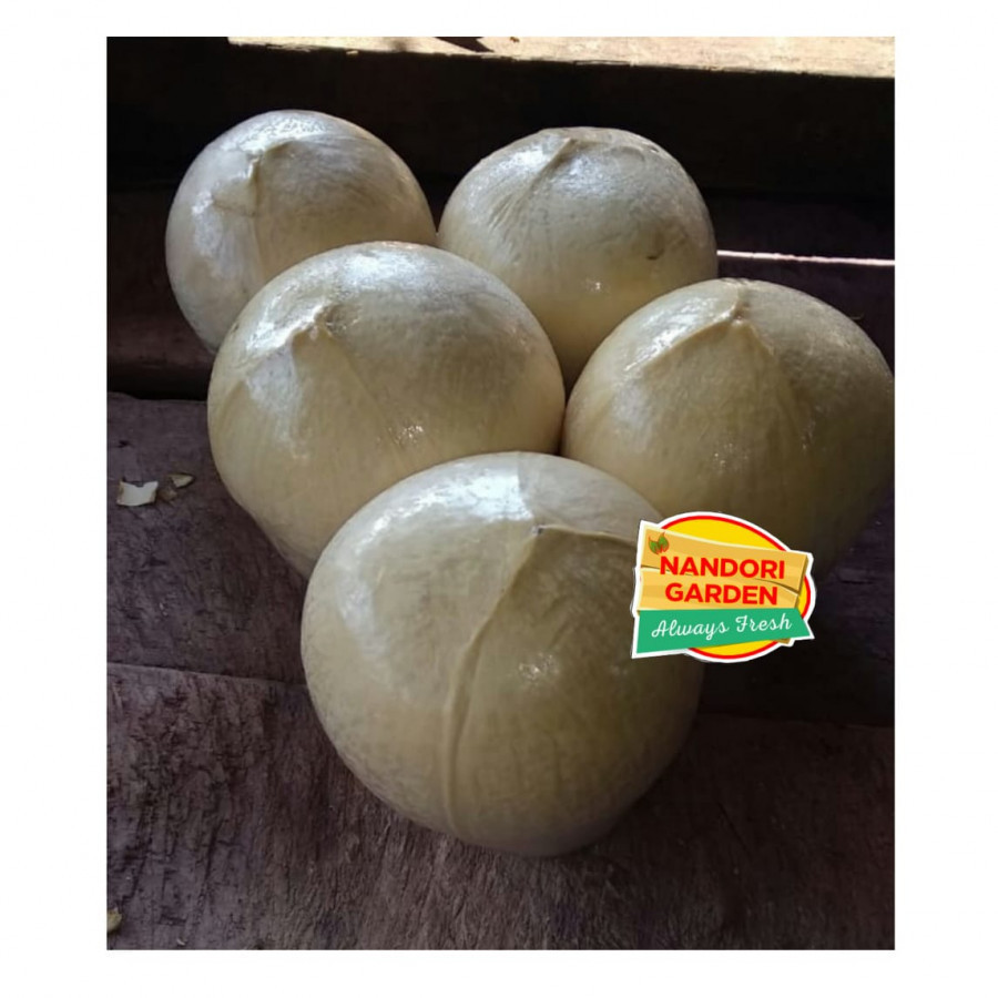 Download Puding Kelapa Muda Batok Nomer 28