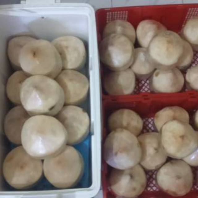 Detail Puding Kelapa Muda Batok Nomer 34