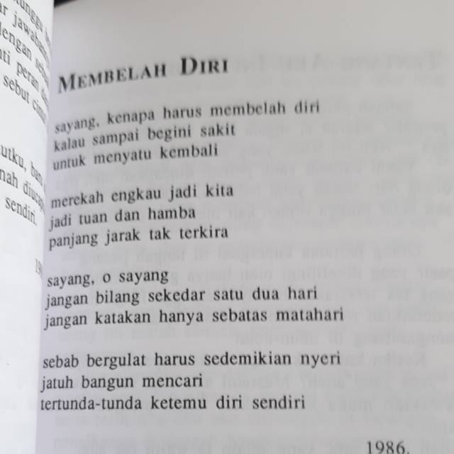 Detail Puisi Ainun Najib Nomer 10