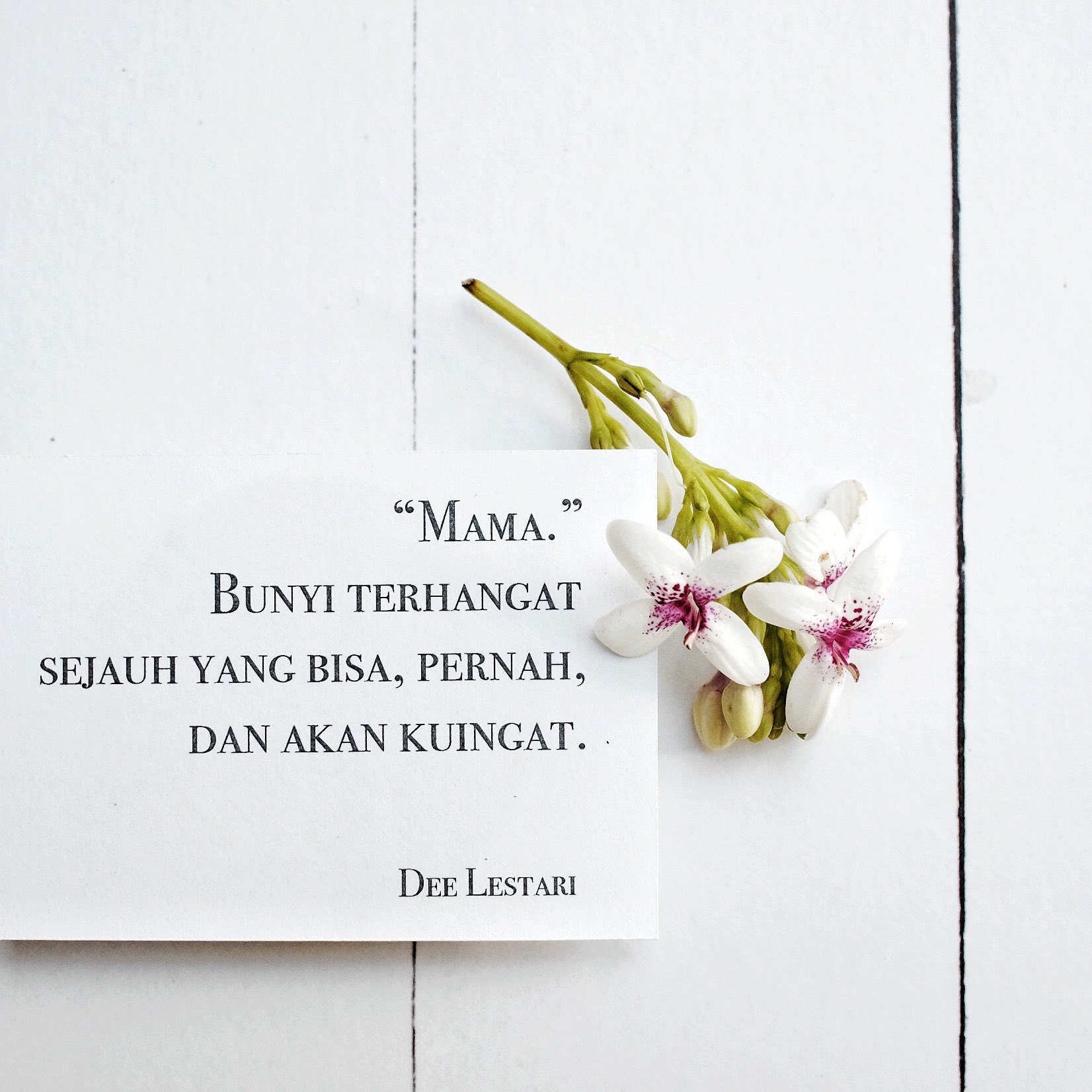 Detail Puisi Buat Hari Ibu Nomer 25