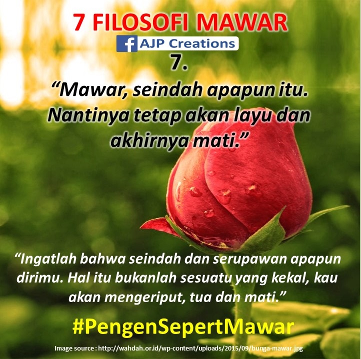 Detail Puisi Cinta Bunga Mawar Nomer 44