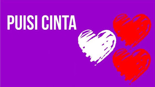 Detail Puisi Cinta Dusta Nomer 17