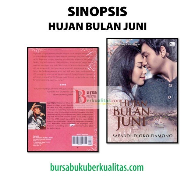 Detail Puisi Di Film Hujan Bulan Juni Nomer 40