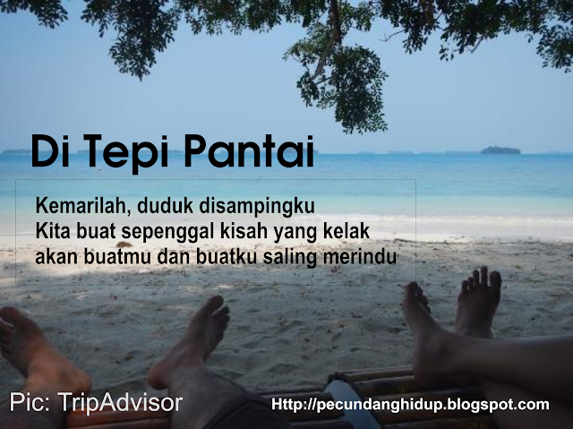 Detail Puisi Di Tepi Pantai Nomer 12