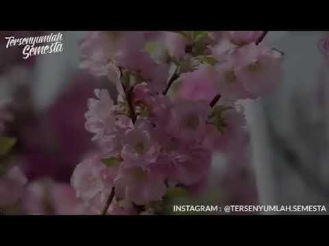 Detail Puisi Jepang Tentang Sakura Nomer 9