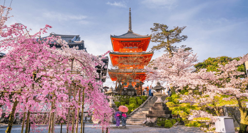 Detail Puisi Jepang Tentang Sakura Nomer 21