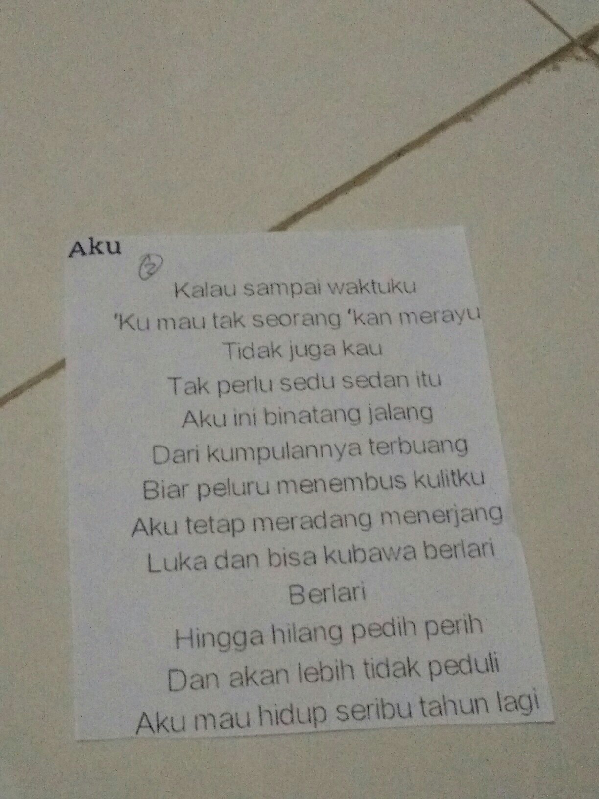 Detail Puisi Judul Aku Nomer 33