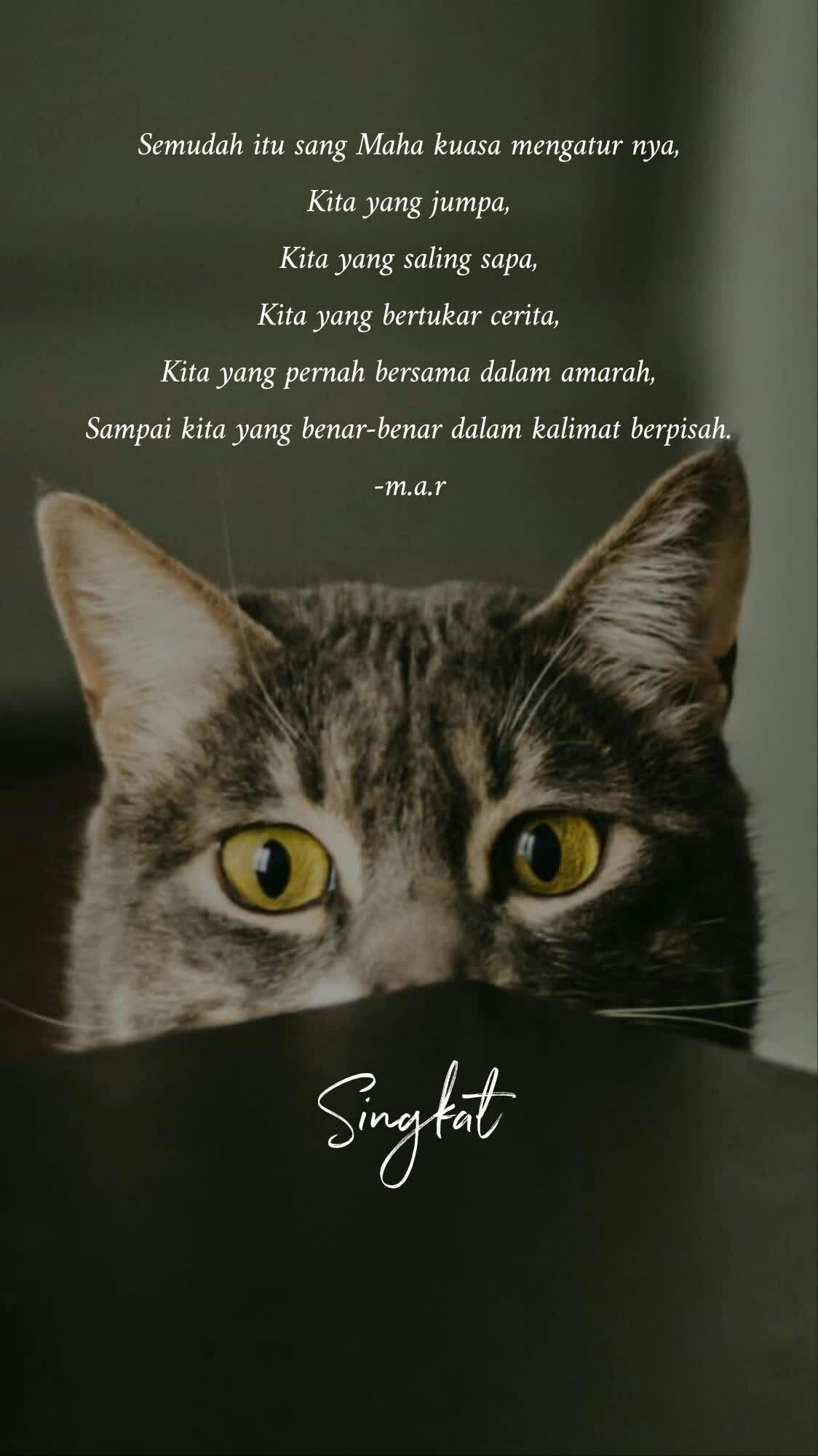 Detail Puisi Kucing Kesayanganku Nomer 49