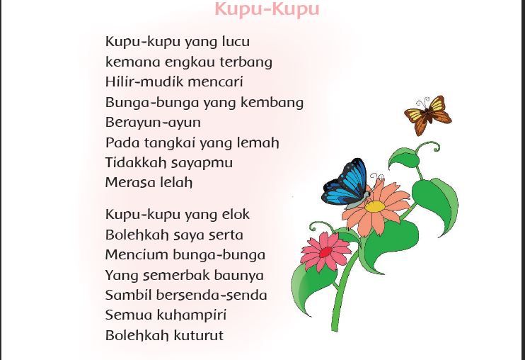 Puisi Kupu Kupu Yang Indah - KibrisPDR