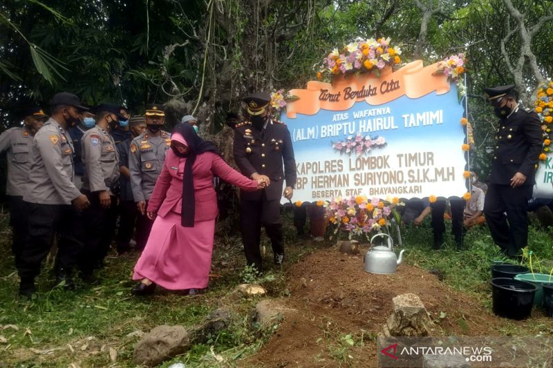 Detail Puisi Lombok Berduka Nomer 36