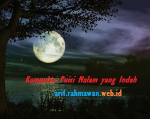 Detail Puisi Malam Yang Sepi Nomer 37