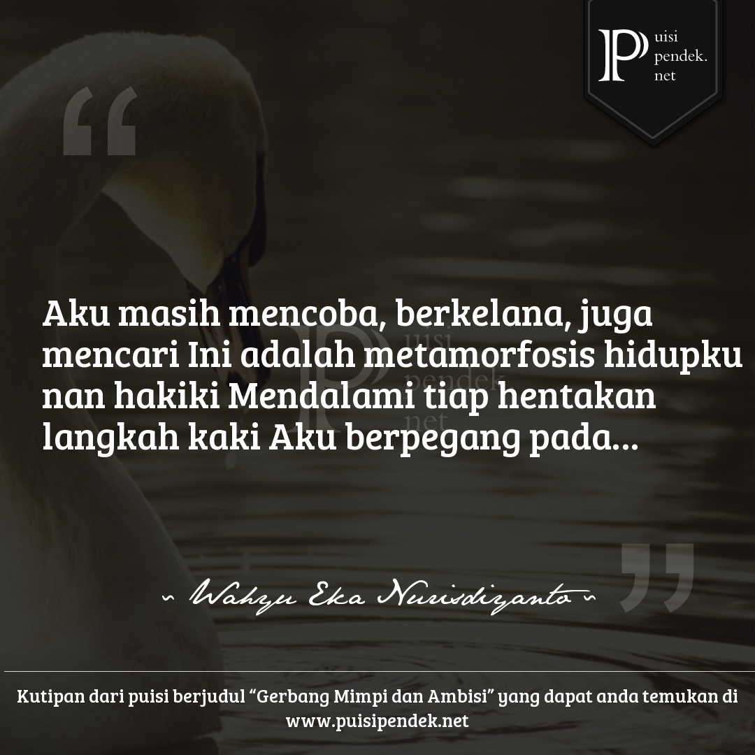 Detail Puisi Meraih Mimpi Nomer 34